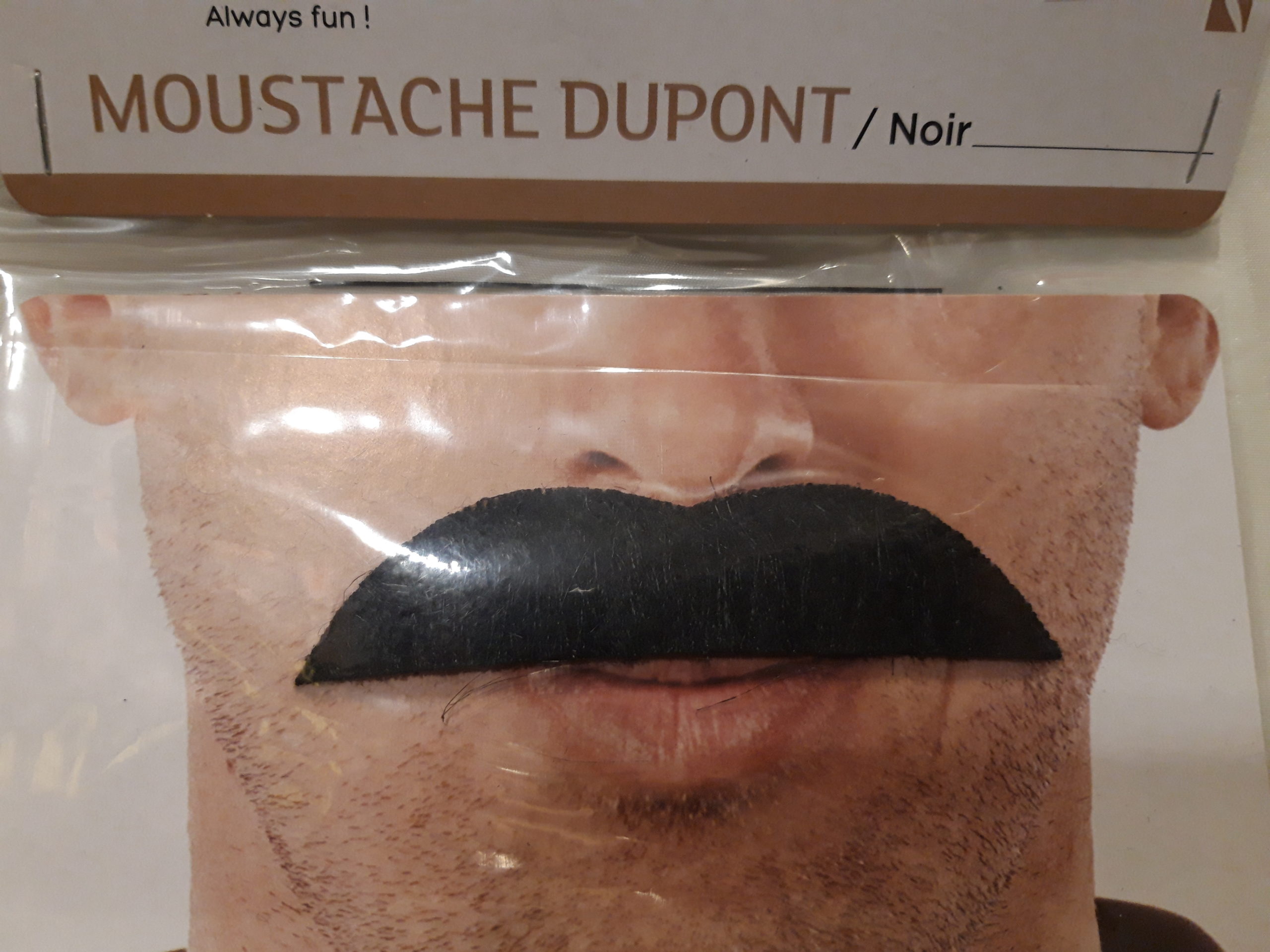moustache dupont